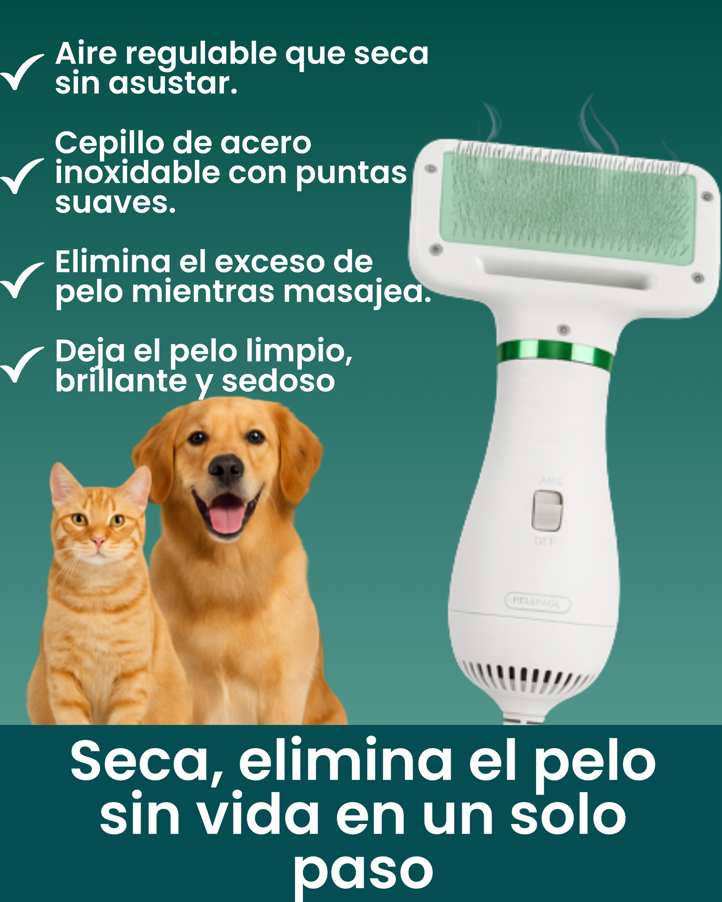 Pelo Facil-3 en 1 ¡Seca, elimina pelo sin vida y cepilla!