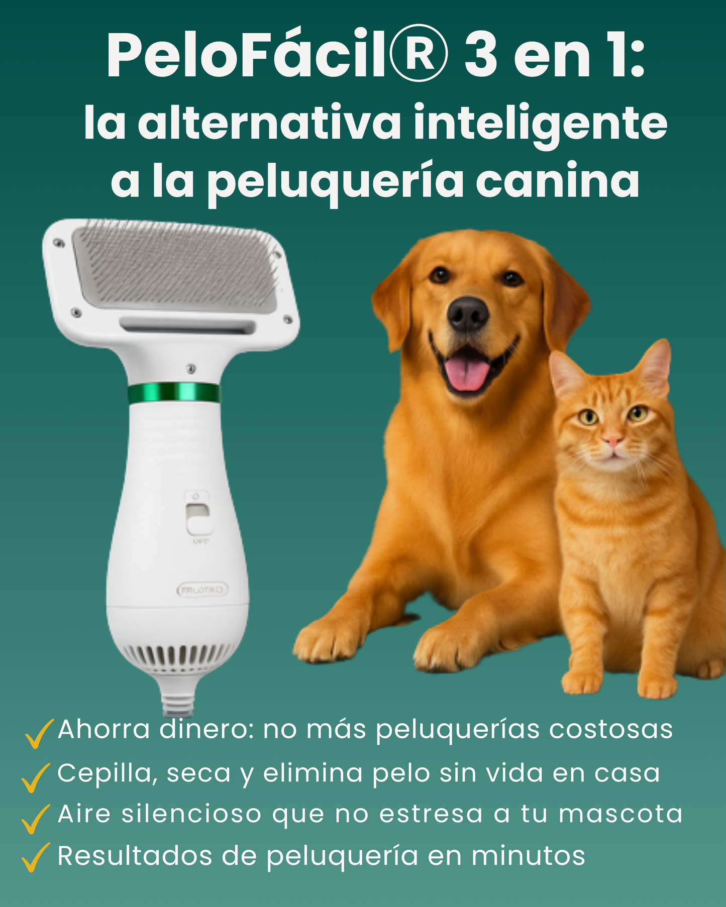 Pelo Facil-3 en 1 ¡Seca, elimina pelo sin vida y cepilla!