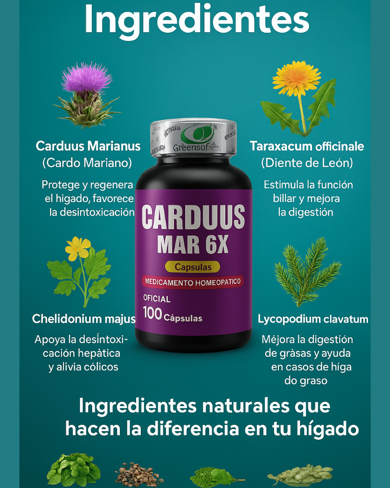 Carduus Mar Original 100caps-Regenerador Hepático